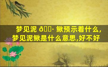 梦见泥 🌷 鳅预示着什么,梦见泥鳅是什么意思,好不好